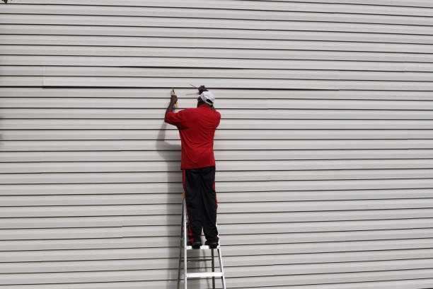 Best Wood Siding Installation  in Fairbank, IA